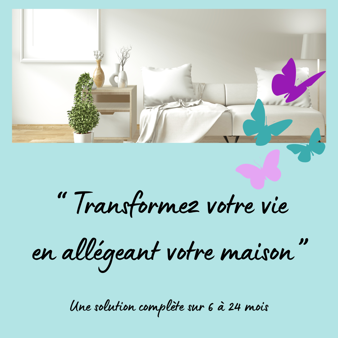 offre home organiser intervention maison entière changement complet